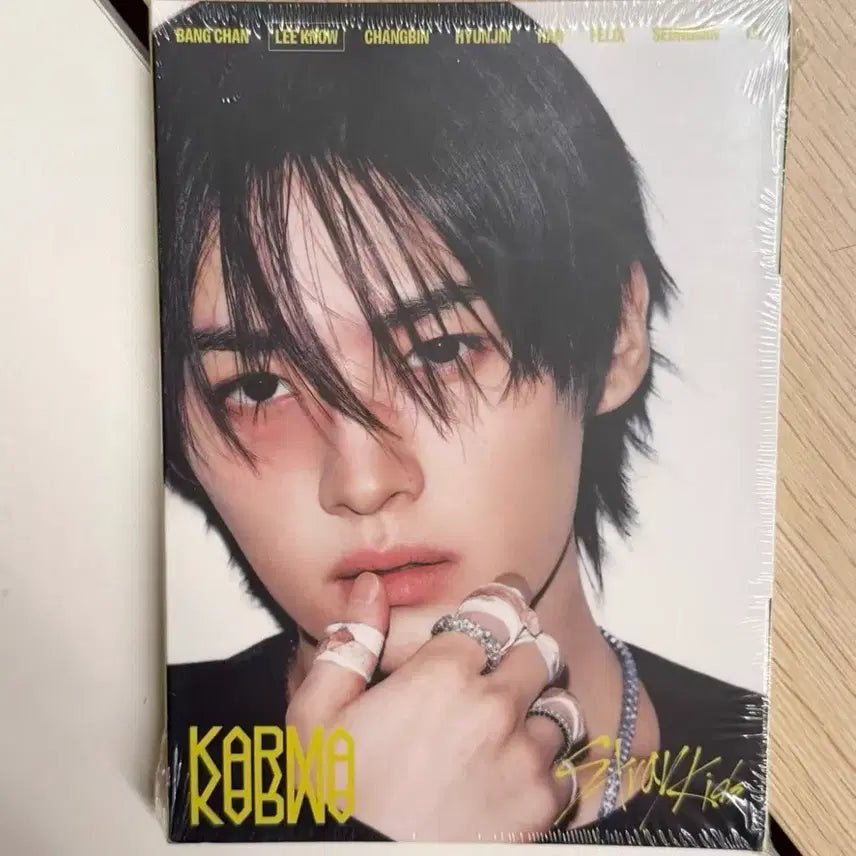 [BUNJANG] Stray Kids Karma Lee Know Sealed Album / 스트레이키즈 카르마 아코디언 리노 미개봉 앨범 스키즈