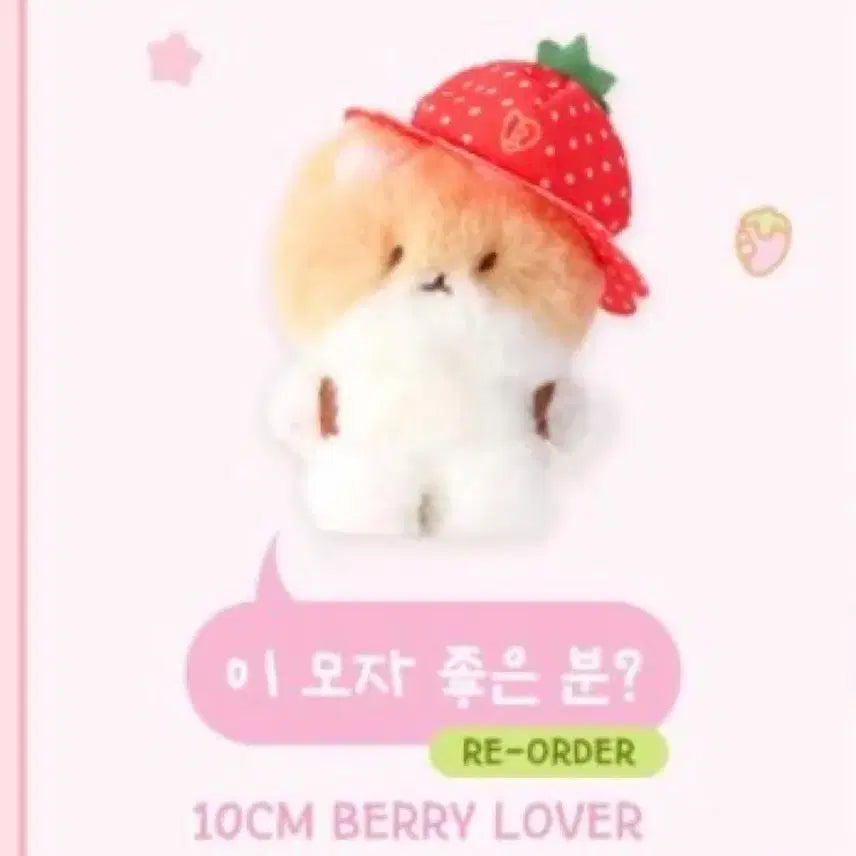 [BUNJANG] Tururugi Bundle Set / 터랴기 양도