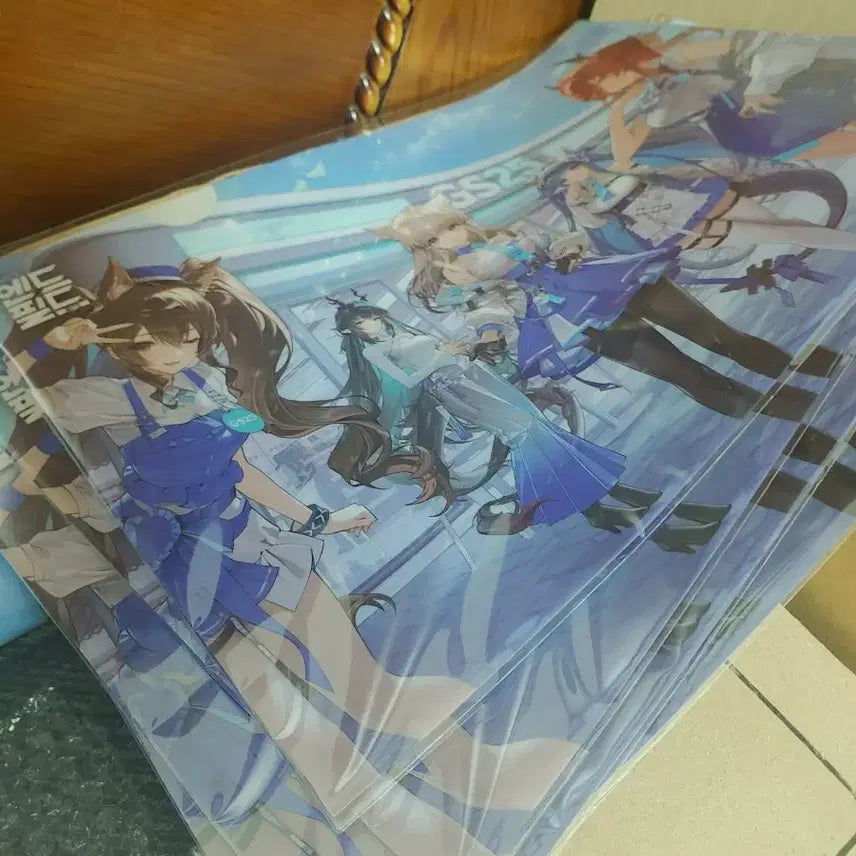 [BUNJANG] Enfield Collection Book, Photocard Book, Clear File / 엔드필드 띠부씰북 포토카드북 클리어파일 명일방주gs25