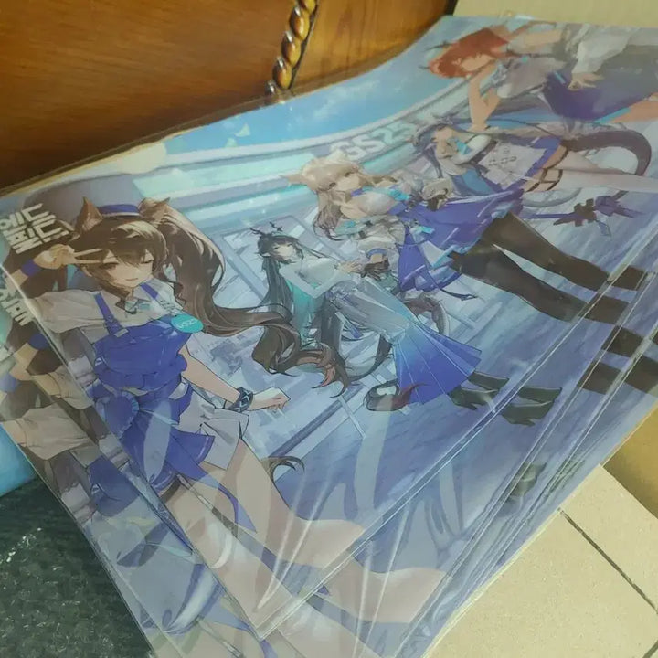 [BUNJANG] Enfield Collection Book, Photocard Book, Clear File / 엔드필드 띠부씰북 포토카드북 클리어파일 명일방주gs25