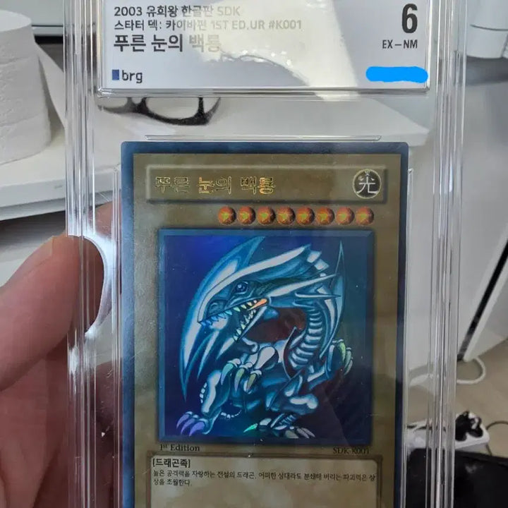 [BUNJANG] Yu-Gi-Oh! Blue-Eyes White Dragon SDK 1st Edition / 유희왕 푸른눈의 백룡 sdk 1st