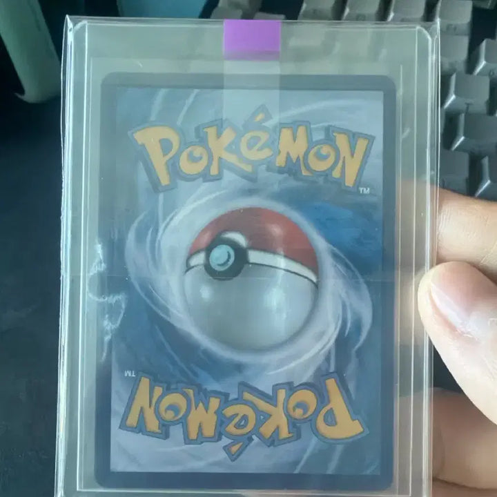 [BUNJANG] Pokemon Card Eevee Promo Card / 포켓몬카드 에브이 프로모카드