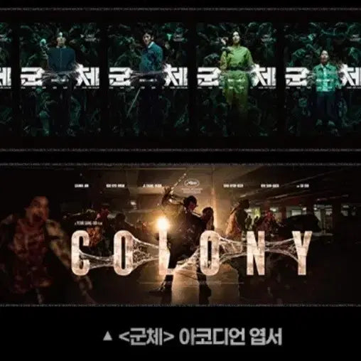 [BUNJANG] BUNCHI Signature Set, Poster Set, Accordion Postcard Set / 군체 시그니처4종,포스터3종,아코디언 엽서 세트 판매