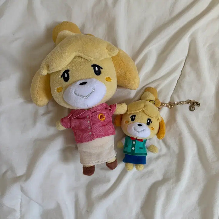 [BUNJANG] Animal Crossing Kapp&
