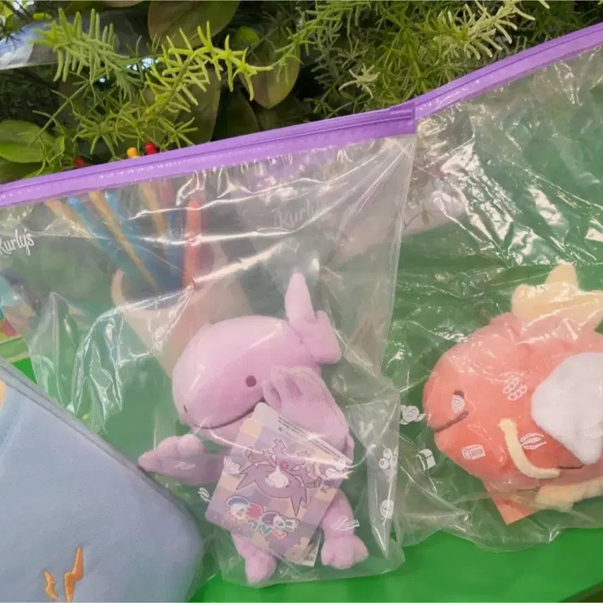 [BUNJANG] Ditto Transformation Kkami Doll / 메타몽 팝업 변신 깜까미 인형 메타몽 깜까미