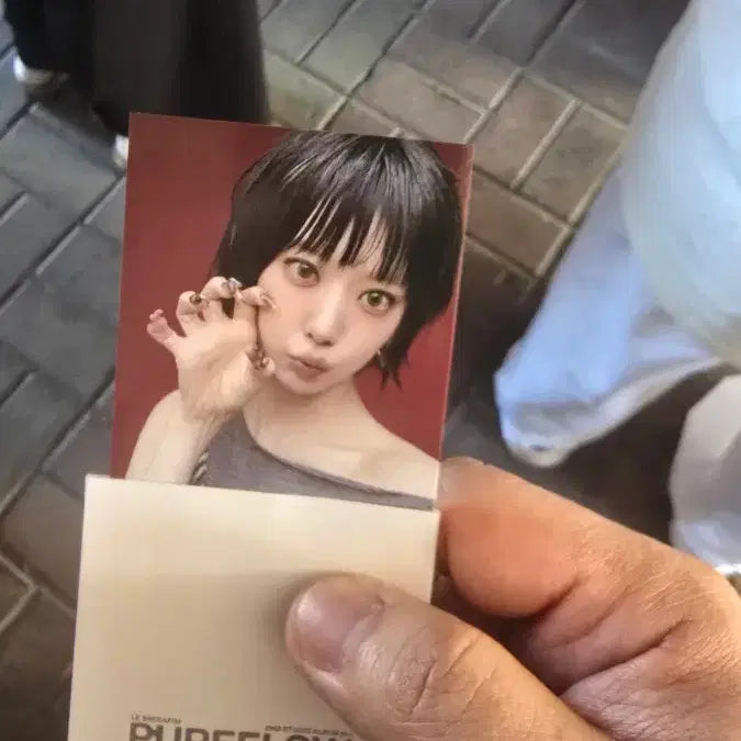 [BUNJANG] LE SSERAFIM Sakura Pureflow Official Photocard / 르세라림 pureflow 붐팔라 공방포카 사쿠라