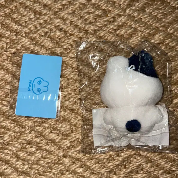 [SOLD OUT] 플레이브 비공식 비공굿 짱레이브 짱예준 미개봉+특전
