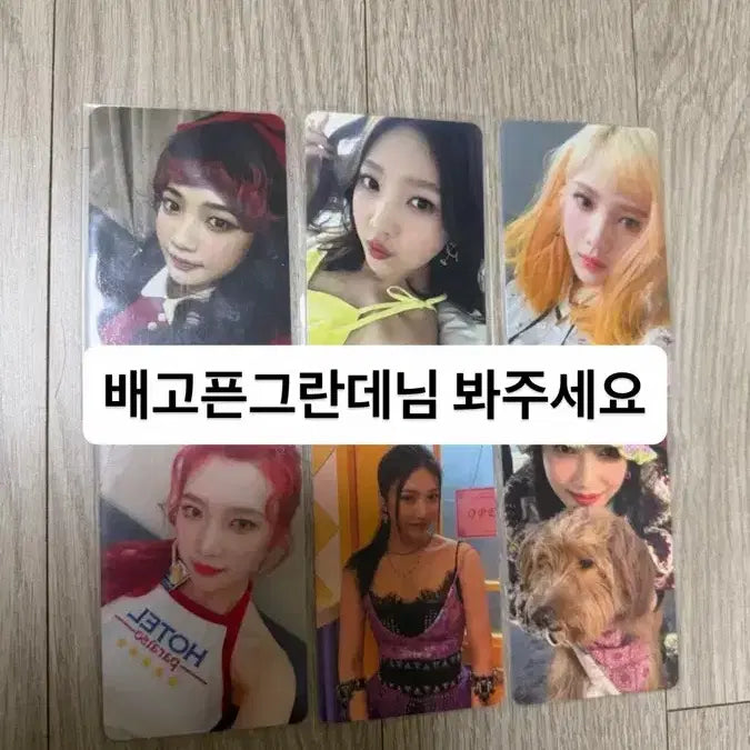 [BUNJANG] Joy Photocard / 배고픈그란데님 조이포카 결제