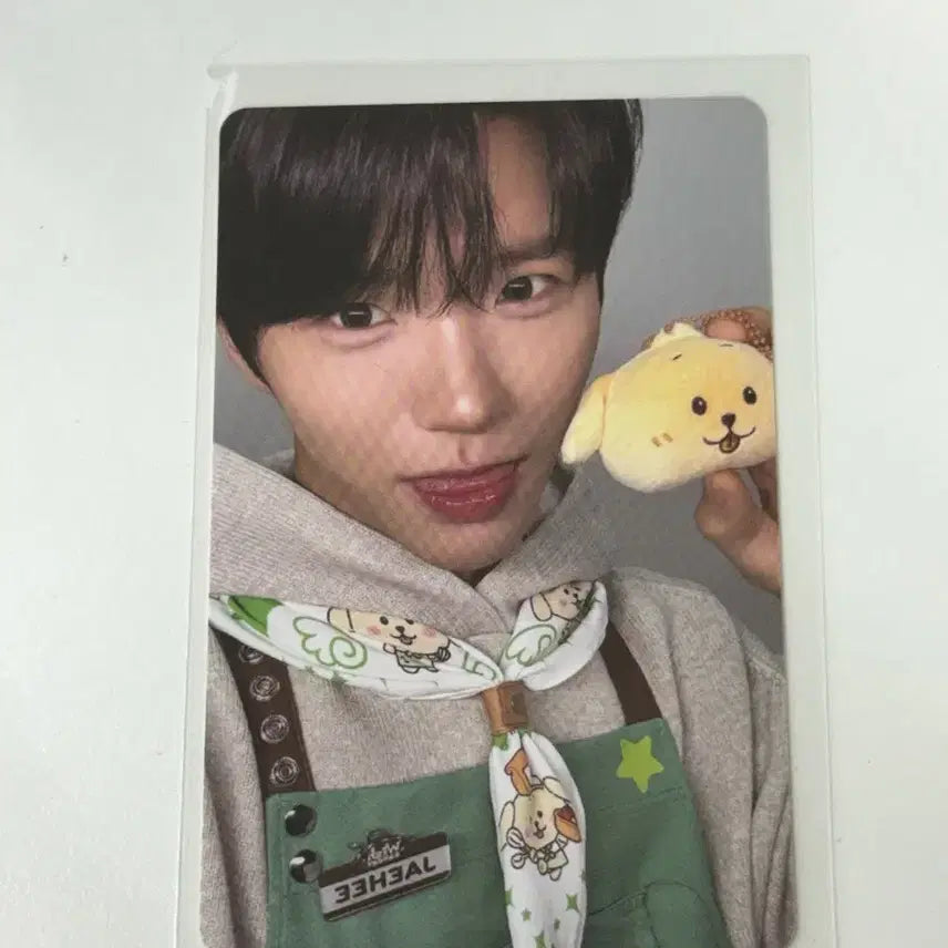 [BUNJANG] NCT WISH Jaehee Bakery Photocard / 엔시티 위시 베이커리 재희 7만원 포카