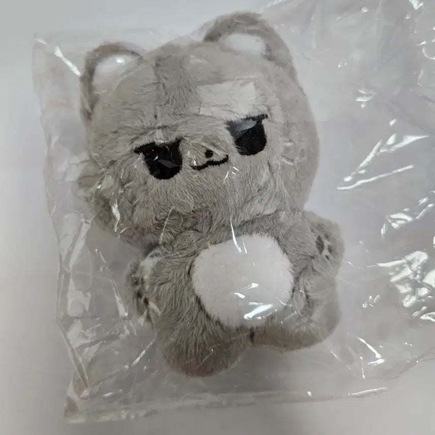 [BUNJANG] ZEROBASEONE Kim Jiwoong 10cm Plush Doll Ungnyangnyang / 제로베이스원 김지웅 10cm 인형 웅냐냥