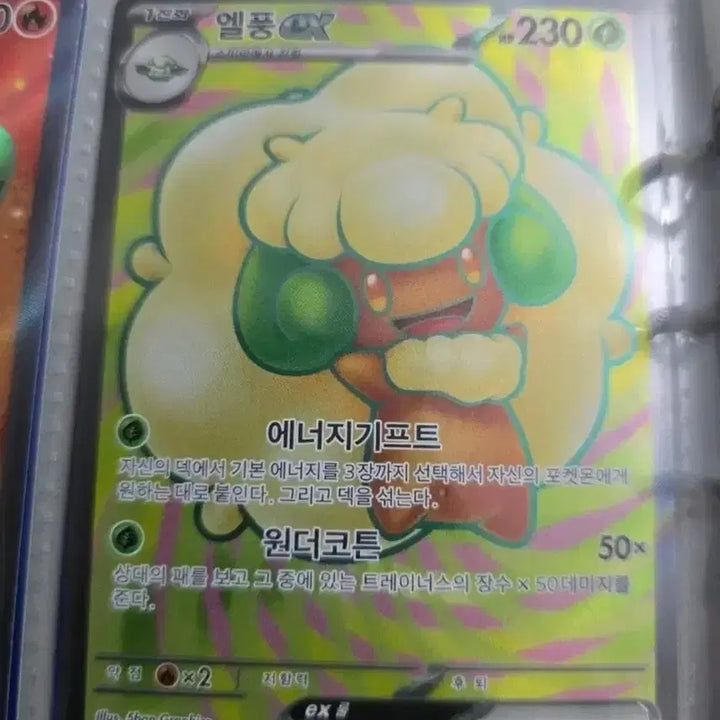 [BUNJANG] Pokemon Card Bundle featuring various Pokemon including Mamoswine, Mismagius, and others / 포켓몬 카드 일괄 판매 모야모의 찌리배리 엘풍 염무왕 메가이어롭 등