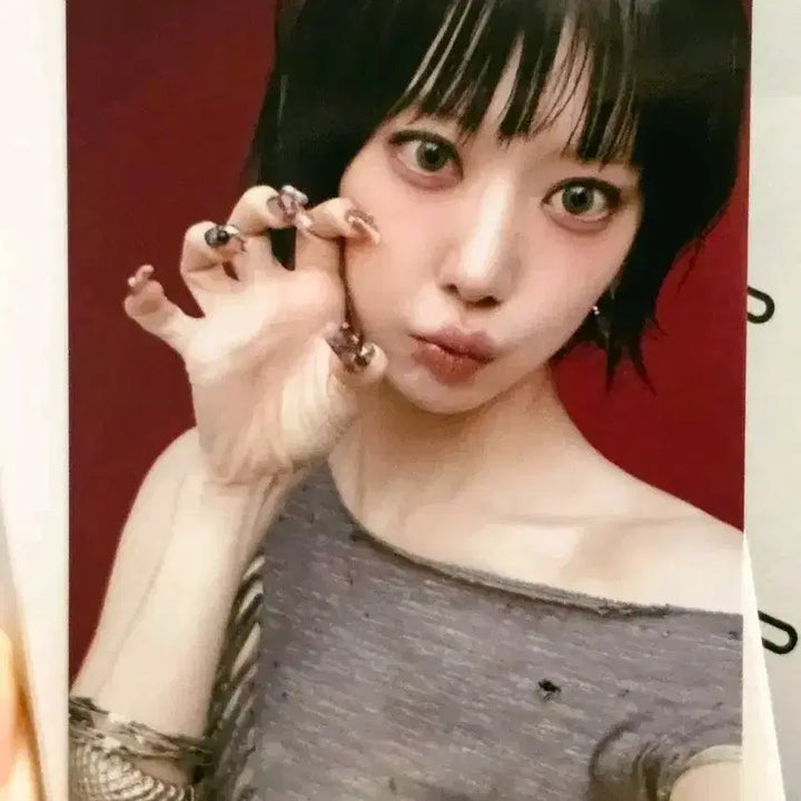 [BUNJANG] Le Sserafim Sakura Studio Photocard / 르세라핌 붐팔라 사쿠라 공방포카 슬로건 스티커 양도