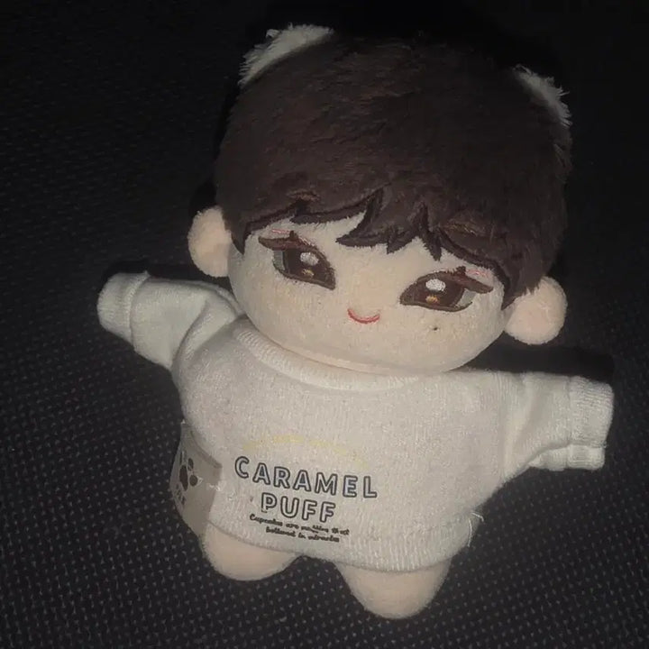 [BUNJANG] ENHYPEN Sunoo Cat Ear Doll / 엔하이픈 김선우 중국 인형