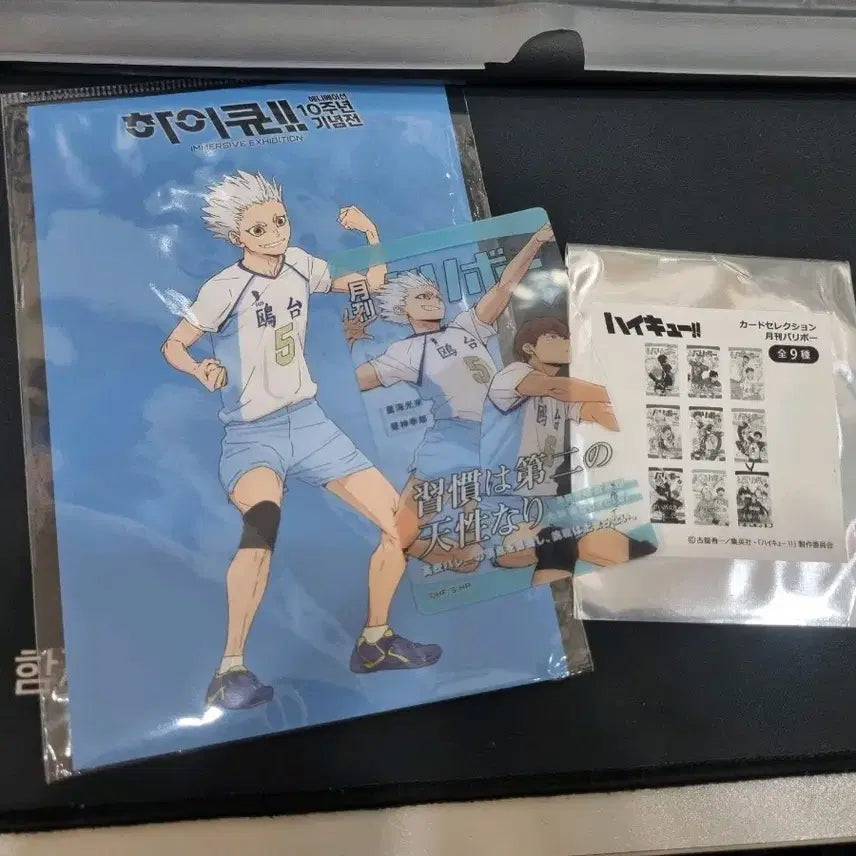 [BUNJANG] Haikyuu!! Kamome Hoshiumi 10th Anniversary Postcard / Fair Clear Card Bundle Set / [하이큐 굿즈] (일괄) 카모메 호시우미 10주년 엽서/페어 클리어 카드