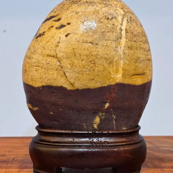 [BUNJANG] Pilgrimage Path Patterned Stone Chinese Scholar Rock / 26052203  순례길 문양석 중국 수석 팝니다