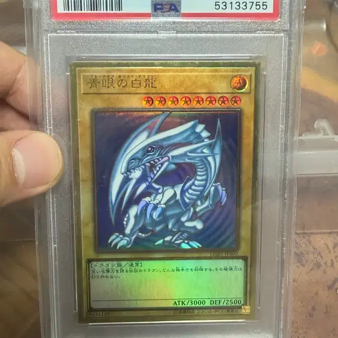 [BUNJANG] Yu-Gi-Oh! Blue-Eyes White Dragon Legendary Gold Box PSA 8 Graded Card / 유희왕 푸른 눈의 백룡 레전더리 골드 박스 PSA 8