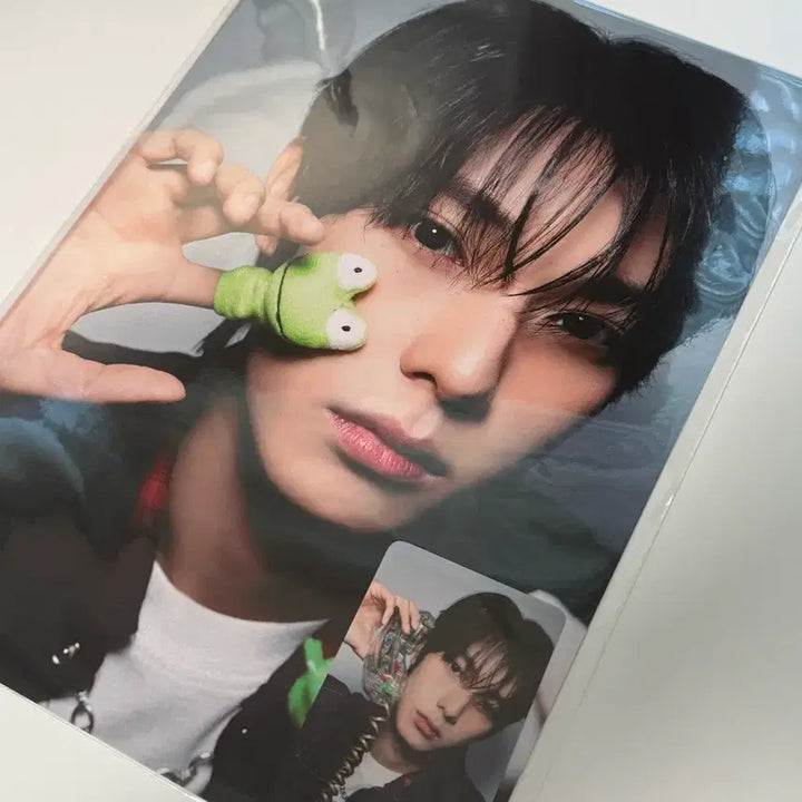 [BUNJANG] Choi Ripwoo Bopul 2 A4 Photo Set Photocard Holder Sealed / 최립우 보플2 a4 포토세트 미개봉