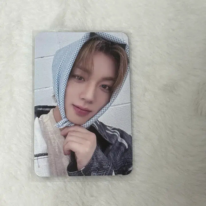 [BUNJANG] Park Jihoon Mamute Photocard / 박지훈 마뮤테 포토카트
