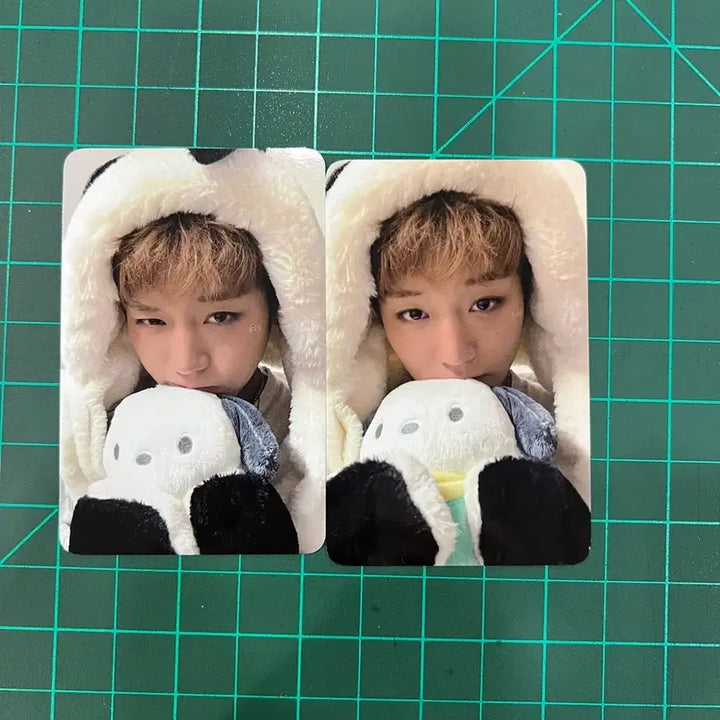 [BUNJANG] Park Ji Hoon Beat Road Fan Sign Photocard / 박지훈 비트로드 대면 포카