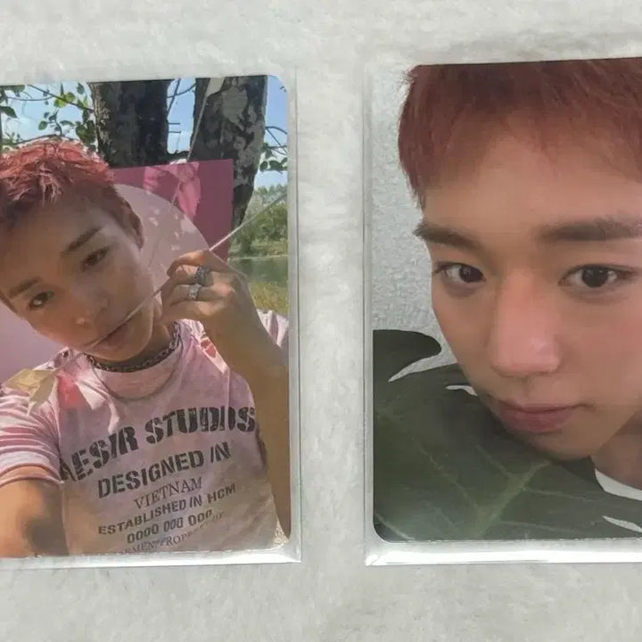 [BUNJANG] Park Jihoon Reflect Album Photocard Bundle Set / 박지훈 리플렉트 앨범 포카 일괄