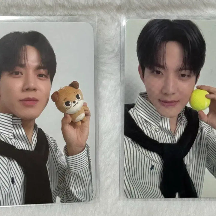 [BUNJANG] DAY6 Dowoon Cherry Blossom Concert Welshow Concert Money Tennis Photocard Bundle Set / 데이식스 도운 벚꽃콘 웰쇼콘 돈이 포카 테니스 포카 일괄