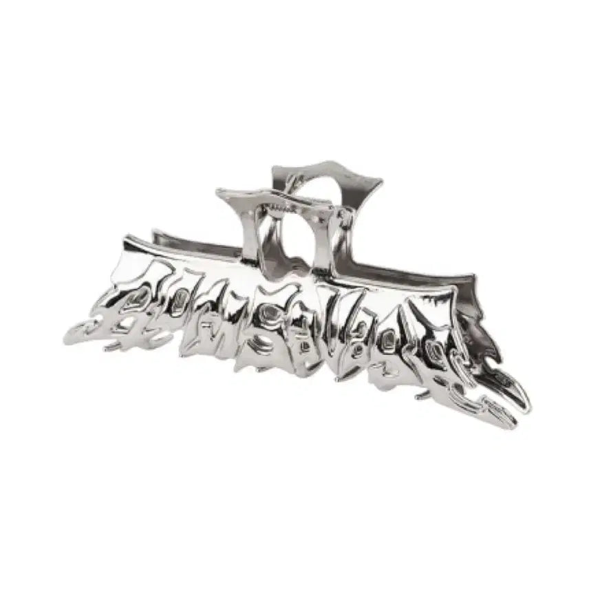 [BUNJANG] PLAVE MD Hair Clip Set / 플레이브 MD 집게핀 양도