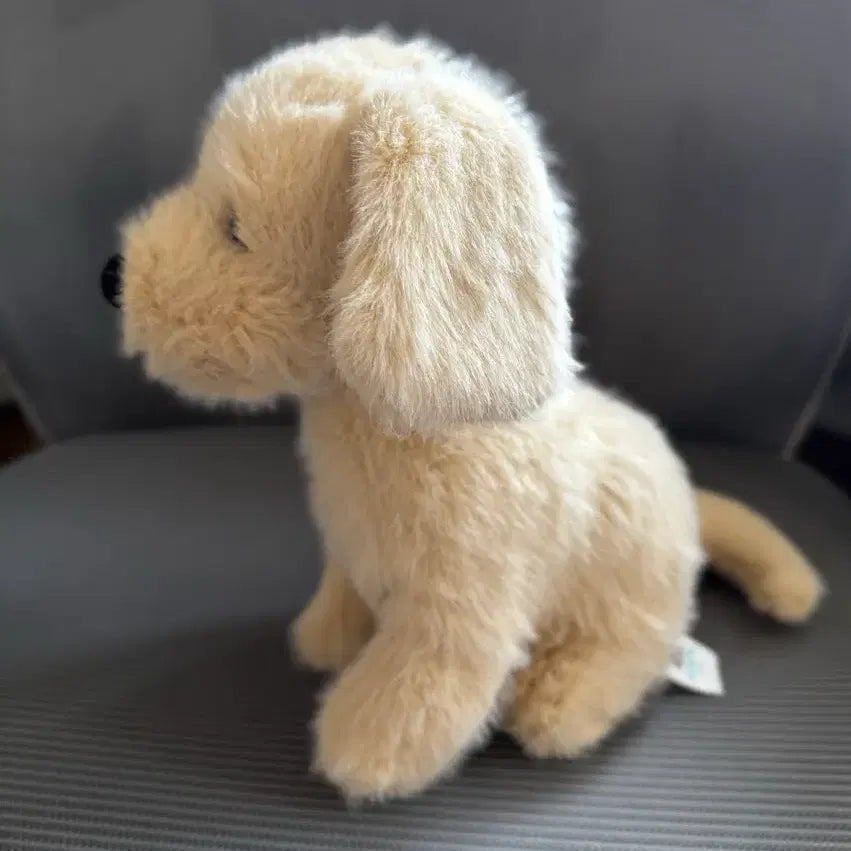 [BUNJANG] Jellycat Golden Puppy Plush Toy / jellycat 골든 퍼피 젤리캣 정품