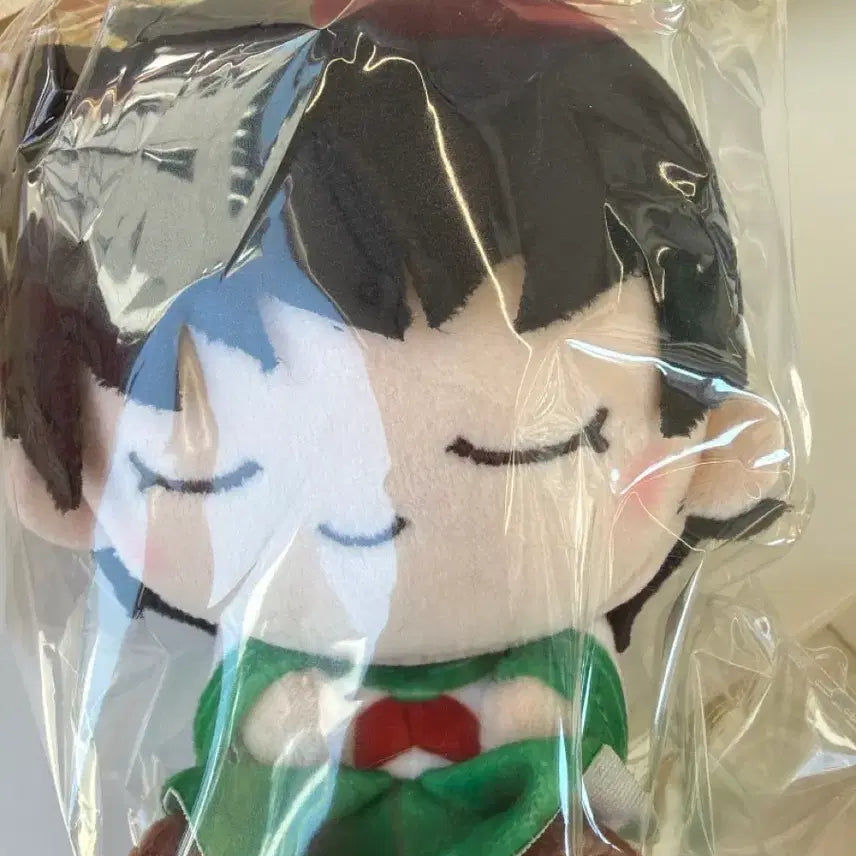 [BUNJANG] Inuyasha Kagome Sleeping Plush / 이누야샤 쿨쿨누이 낮잠누이 가영이 인형