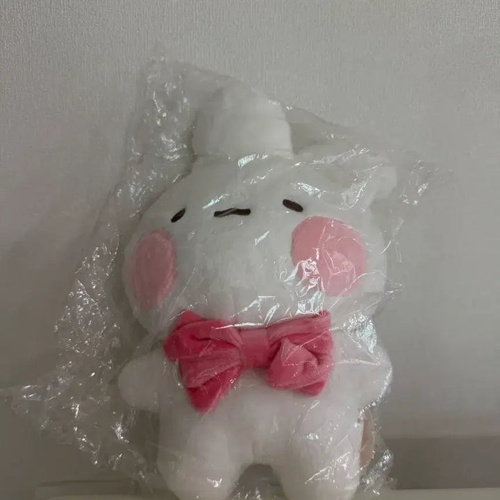 [BUNJANG] Tosimi Plush Doll / 토심이 봉제인형