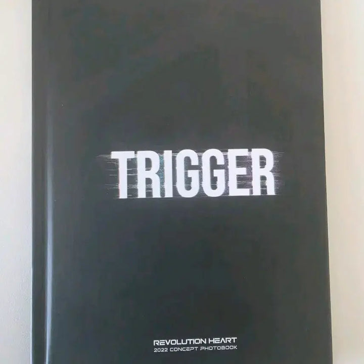 [BUNJANG] LeRee Photobook v1.0 / 리레 포토북 판매