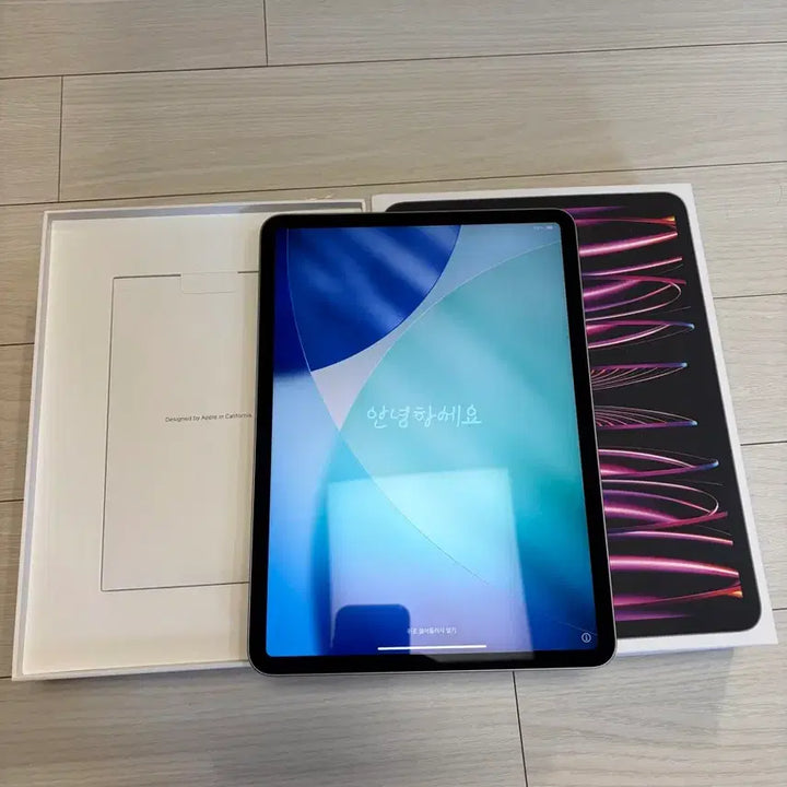[BUNJANG] Apple iPad Pro 4th Gen M2 11-inch 128GB Space Gray / 아이패드 프로 4세대 M2 11인치 128gb 스그