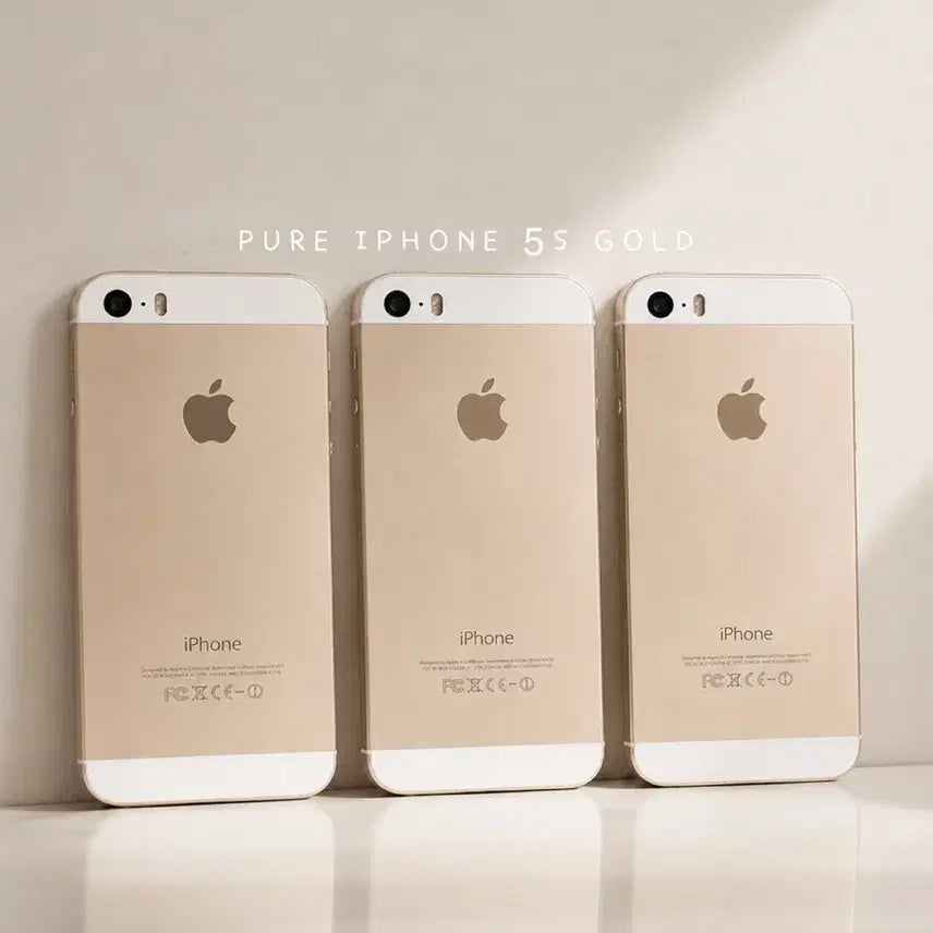 [BUNJANG] Apple iPhone 5s 16GB Gold / [A급/당일발송] 아이폰5s 16GB 골드