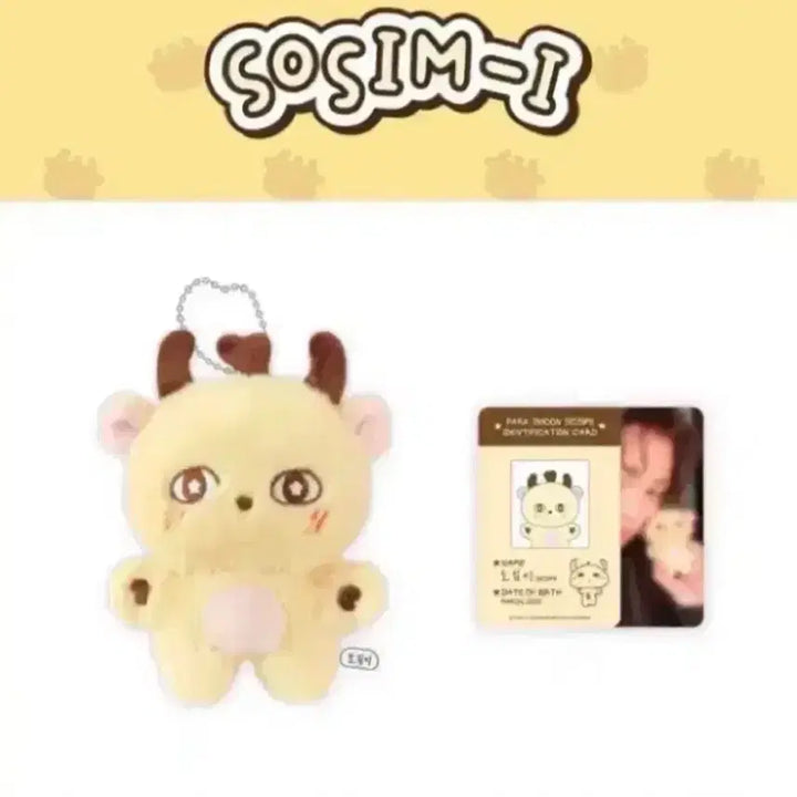 [BUNJANG] Park Jihoon Sosimi Doll Keychain Photocard / 박지훈 소심이 미개봉 인형 키링 포카 포함
