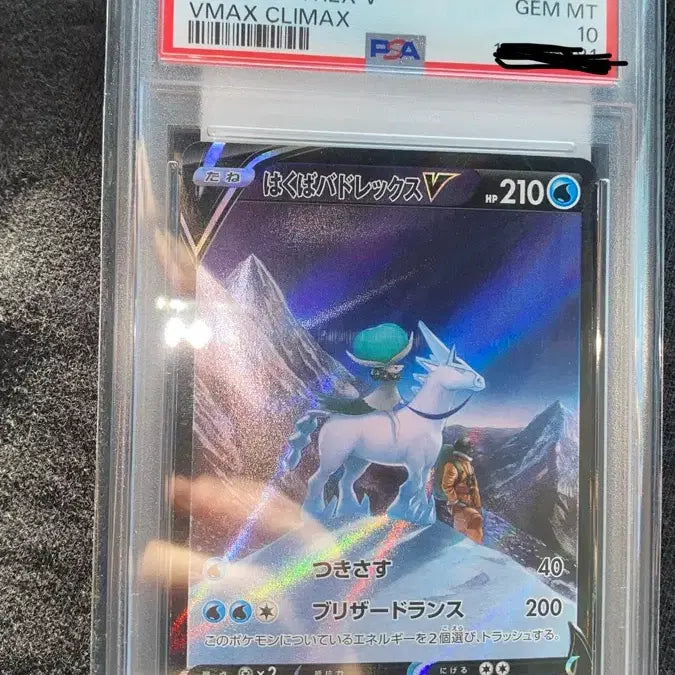 [SOLD OUT] 포켓몬카드 백마 버드렉스 VMAX PSA10