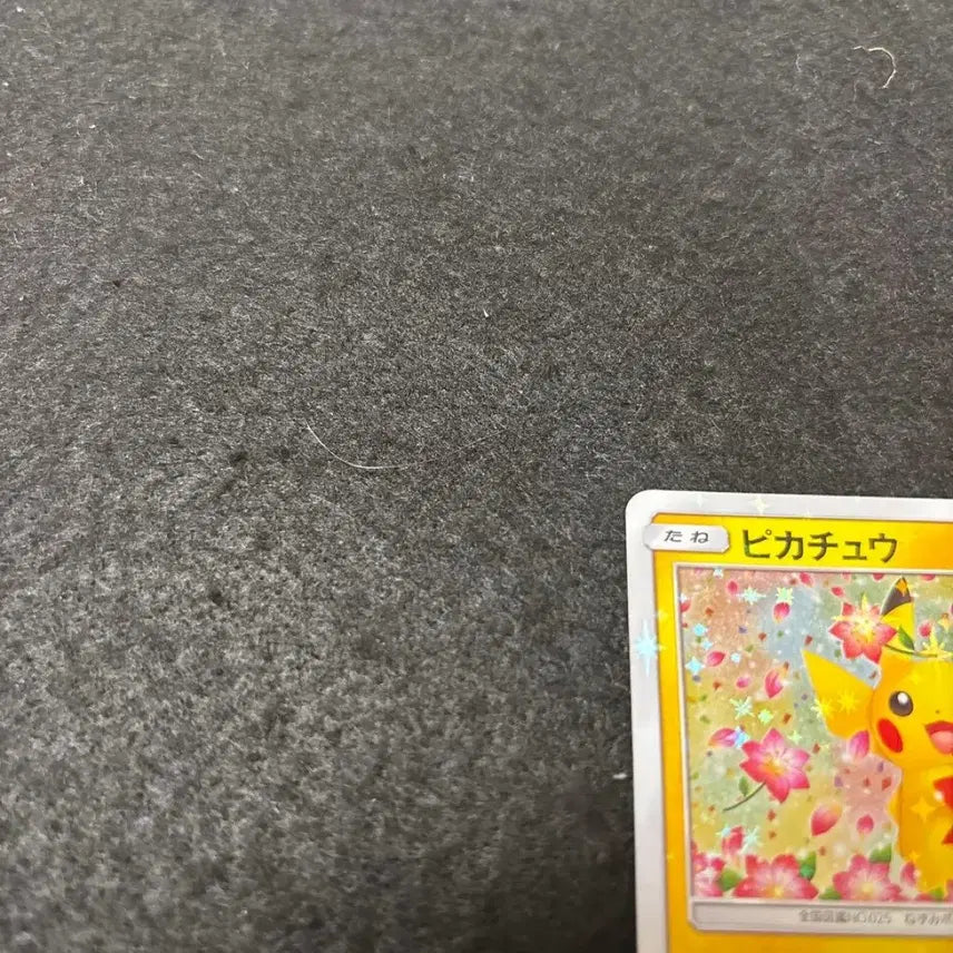 [BUNJANG] 20th Anniversary Pikachu Promo Card / 20주년 피카츄 프로모 상태좋음 팝니다