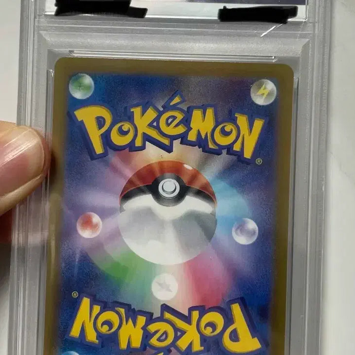 [BUNJANG] Pokemon Card SAR Bo-Manda PSA 10 Japanese / psa 10 / 일판 / SAR / 보만다 / 포켓몬카드