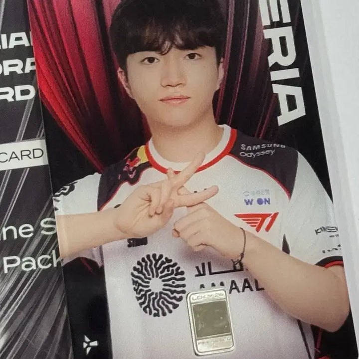 [BUNJANG] LCK T1 Keria Silver Card / LCK 실버카드 T1 케리아