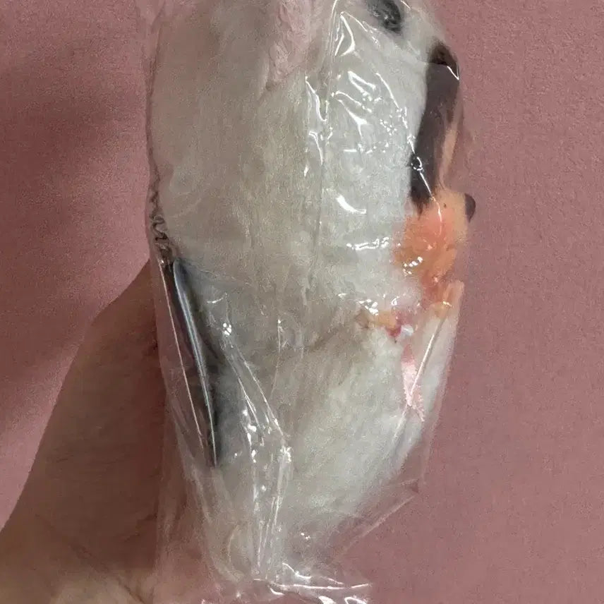 [BUNJANG] Monchhichi Ojoko Weasel Rare Doll / 몬치치 오조코 족제비 몬치치 희귀  몬치치 택 ㅇ