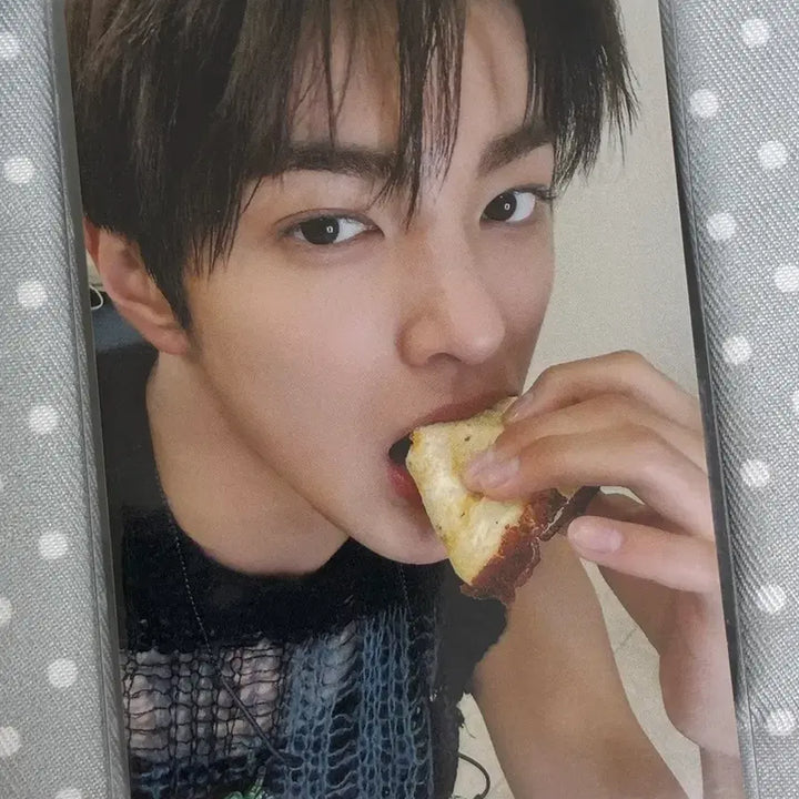 [BUNJANG] Billlie Gunho Weverse Japan Lucky Draw Photocard / 코르티스 건호 위버스 재팬 럭드 포카