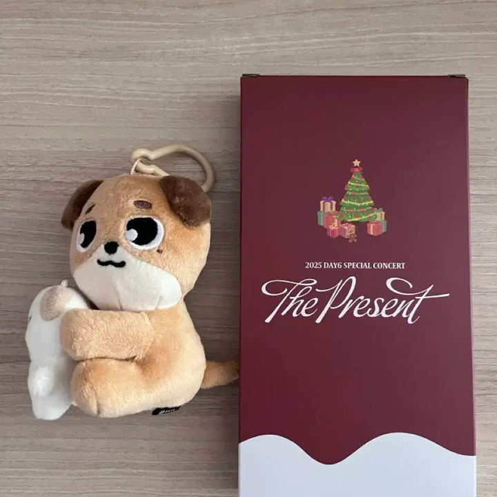 [BUNJANG] Day6 Dowoon Magnet Set (Na-An-A) + 25th Club Concert Socks / 데이식스 마그넷세트 나안아 돈 도운 + 25클콘 양말