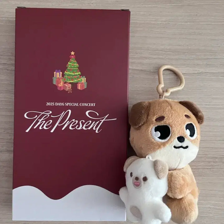 [BUNJANG] Day6 Dowoon Magnet Set (Na-An-A) + 25th Club Concert Socks / 데이식스 마그넷세트 나안아 돈 도운 + 25클콘 양말