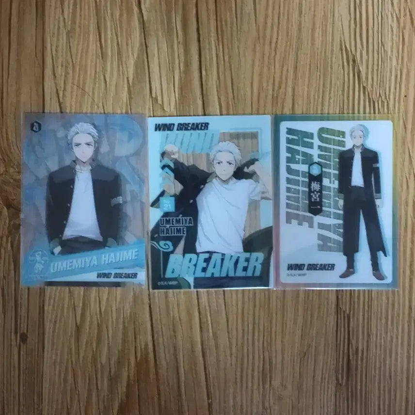 [BUNJANG] Wind Breaker Hajime Umemiya Clear Card Set / 윈드브레이커 윈브레 우메미야 하지메 클리어카드