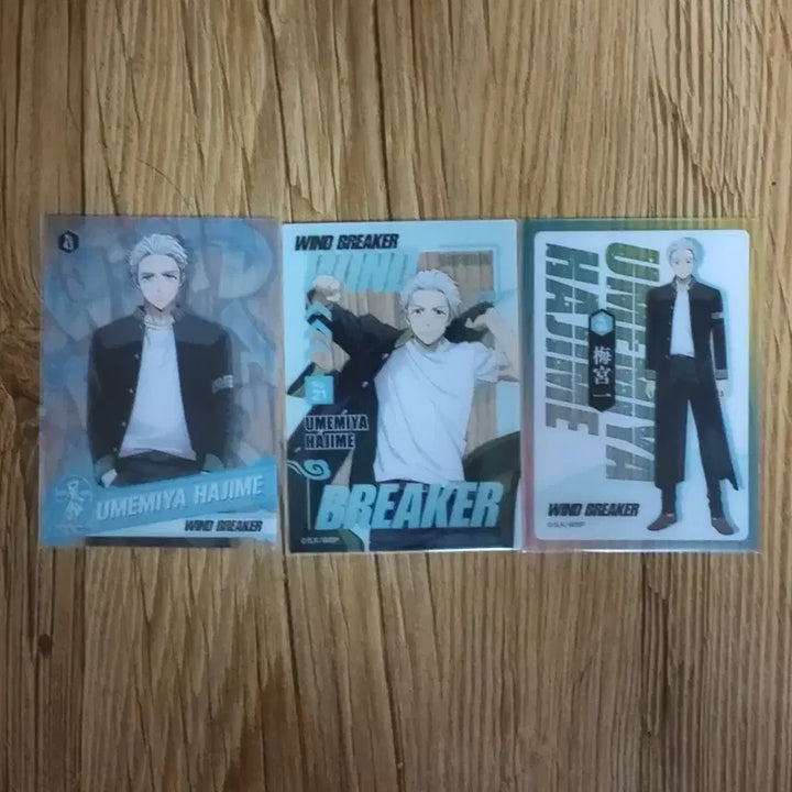 [BUNJANG] Wind Breaker Hajime Umemiya Clear Card Set / 윈드브레이커 윈브레 우메미야 하지메 클리어카드