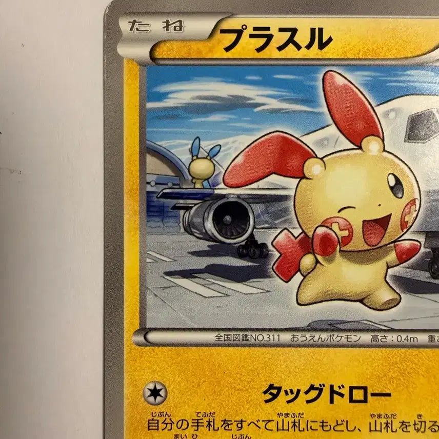 [BUNJANG] 2011 Pokemon Japanese BW Dark Rush Plush 1st Edition / [소장용 최상급] 2011 포켓몬 일본판 BW 다크러시 플러시 1st E