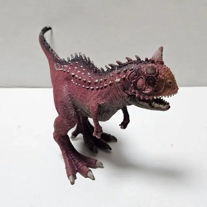 [BUNJANG] Schleich Carnotaurus Dinosaur Figure (2012 Edition) / 슐라이히 카르노타우루스 공룡 피규어 12년판 장난감 고생물