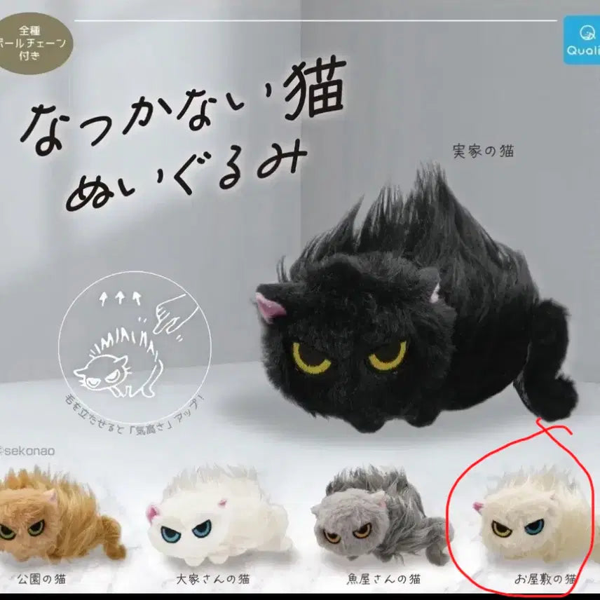 [BUNJANG] Natsukanai Odd-Eye Cat Plush / 나츠카나이 네코 오드아이 고양이 누이
