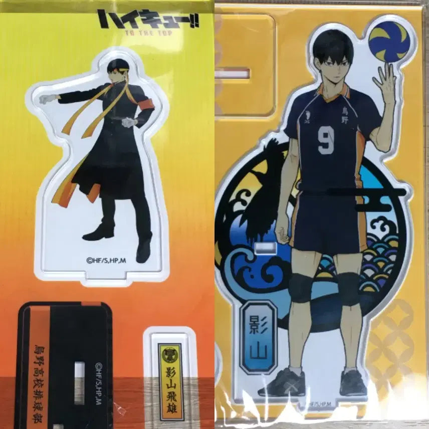 [BUNJANG] Haikyuu!! Kageyama Tobio Cheer Acrylic Stand Bundle / 하이큐 카게야마 토비오 응원 아크릴 스탠드 일괄