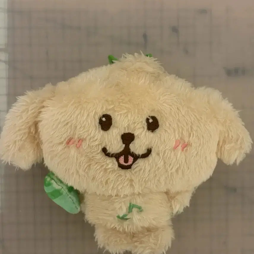 [BUNJANG] NCT WISH Jaehee Daeyoung 2024 Edition Dog Plush Toy / Nct wish 엔시티 위시 재희 대영 인형 댕트리버 초판
