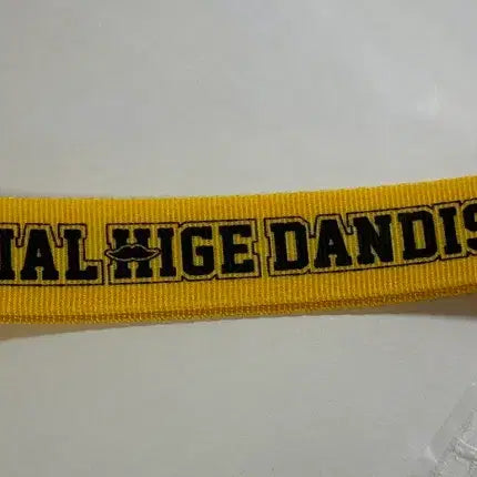 [BUNJANG] Official HIGE DANJI Carabiner Keychain / 히게단 키홀더