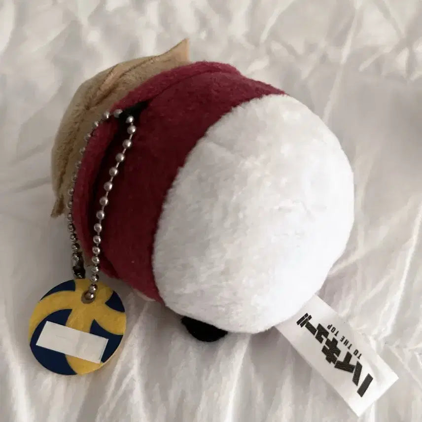 [BUNJANG] Miya Atsumu MochiMochi Plush / 미야 아츠무 모찌마스 모찌 인형